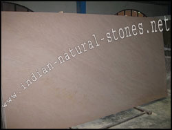 buff brown quartzite slabs from india