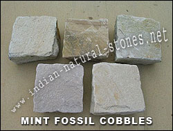 fossil mint cobbles