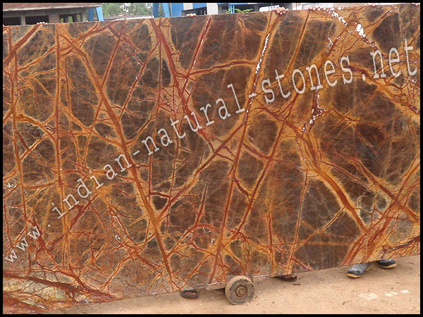 rainforest multicolor marble from india