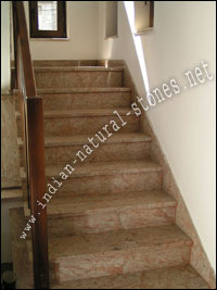 steps risers exporters